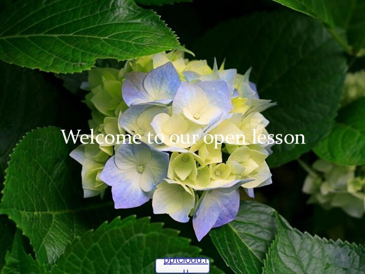 Welcome to our open lesson