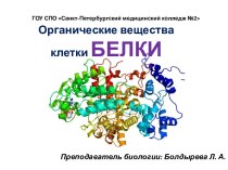 Белки. Органические вещества клетки