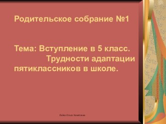 Трудности адаптации пятиклассников в школе