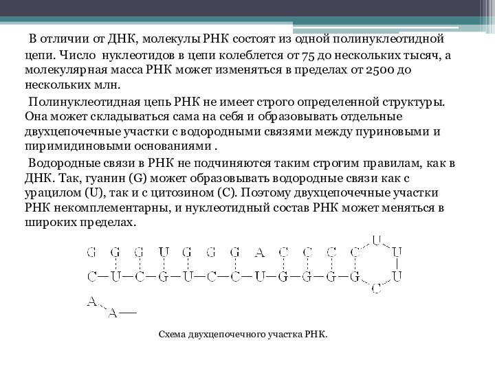 В отличии от ДНК, молекулы РНК состоят из одной полинуклеотидной