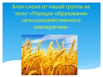 Блок-схема от нашей группы на тему: Порядок образования сельскохозяйственного кооператива