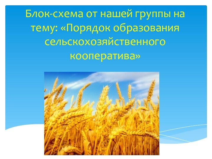 Блок-схема от нашей группы на тему: «Порядок образования сельскохозяйственного кооператива»