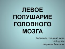 ЛЕВОЕ ПОЛУШАРИЕ ГОЛОВНОГО МОЗГА