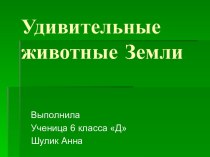 Удивительные животные Земли