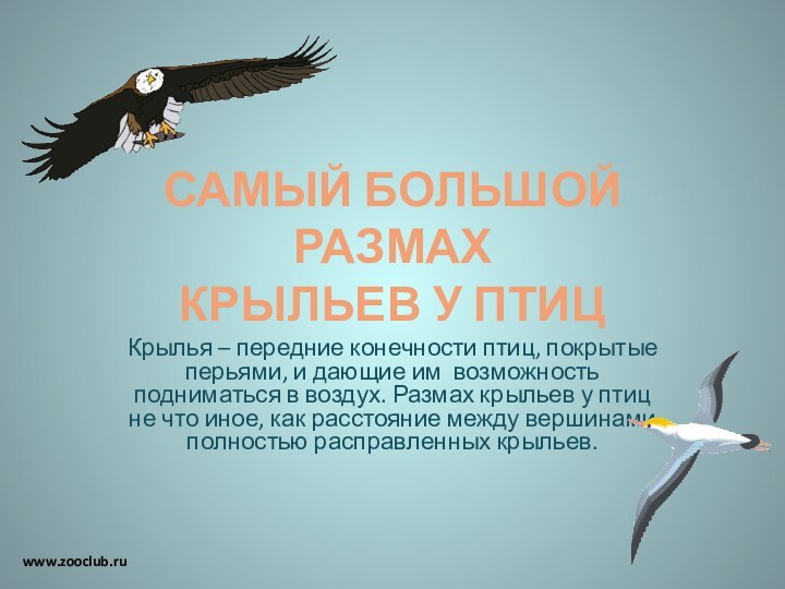 Крылья – передние конечности птиц, покрытые перьями, и дающие им возможность подниматься