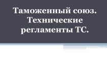 Таможенный союз