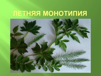 Летняя монотипия