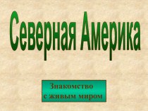 Северная Америка. Знакомство с живым миром