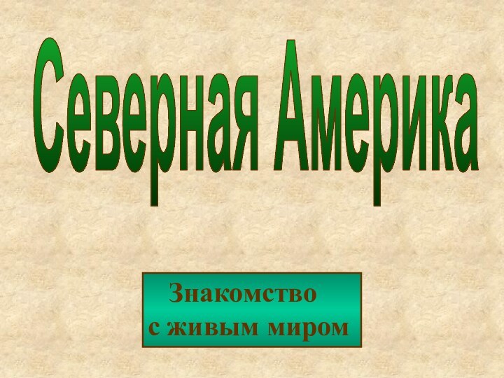 Северная Америка  Знакомство   с живым миром