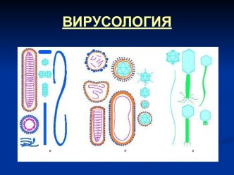 Вирусология