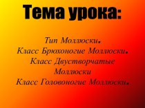 Тип Моллюски