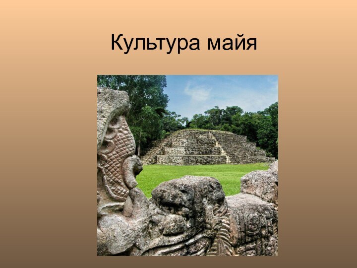 Культура майя