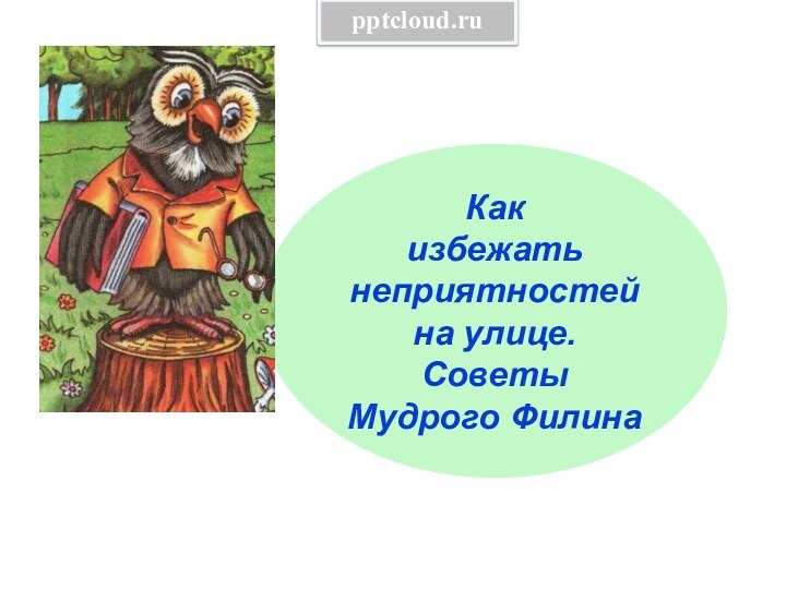 Как избежать неприятностей на улице.Советы Мудрого Филина