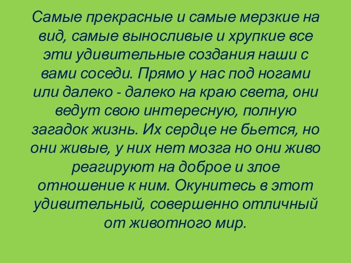 Самые прекрасные и самые мерзкие на вид, самые выносливые и хрупкие все