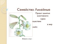 Cемейство Лилейные