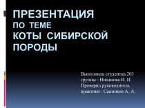 Презентация по темеКоты сибирской породы