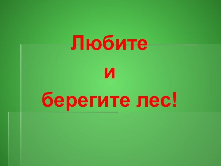 Любите и берегите лес!