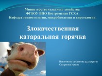 Министерство сельского хозяйстваФГБОУ ВПО Костромская ГСХАКафедра эпизоотологии, микробиологии и вирусологии