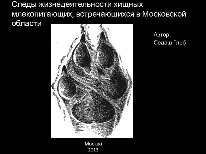 Следы жизнедеятельности хищных млекопитающих, встречающихся в Московской областиАвтор: Седаш ГлебМосква 2013