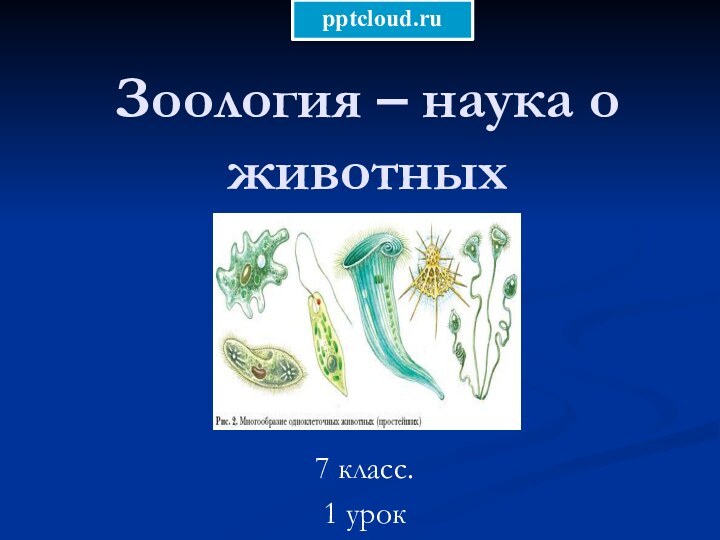 Зоология – наука о животных 7 класс.1 урок