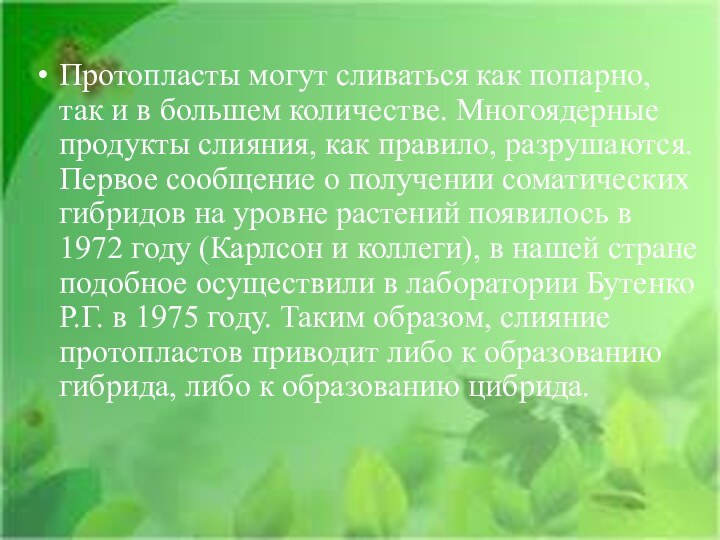 Протопласты могут сливаться как попарно, так и в большем количестве. Многоядерные продукты