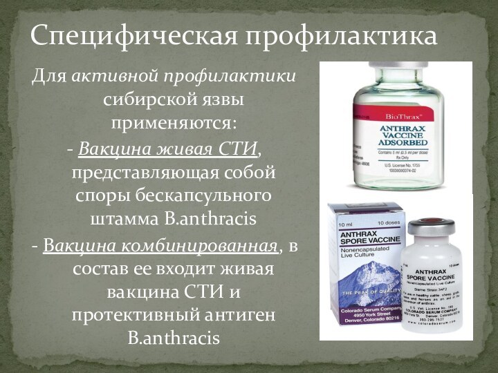 Для активной профилактики сибирской язвы применяются:- Вакцина живая СТИ, представляющая собой споры