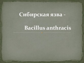 Сибирская язва - bacillus anthracis