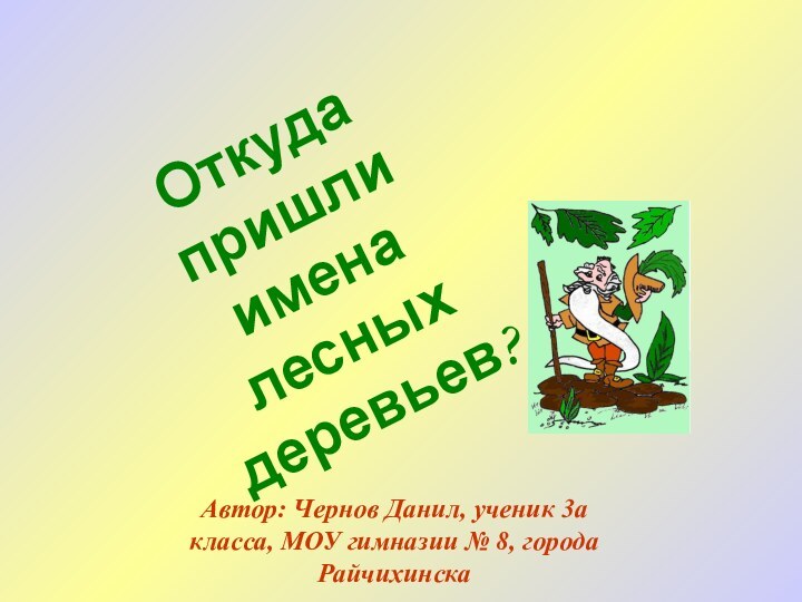 Откуда пришли имена лесных деревьев?Автор: Чернов Данил, ученик 3а класса, МОУ гимназии № 8, города Райчихинска