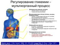 Регулирование гликемии – мультиорганный процесс