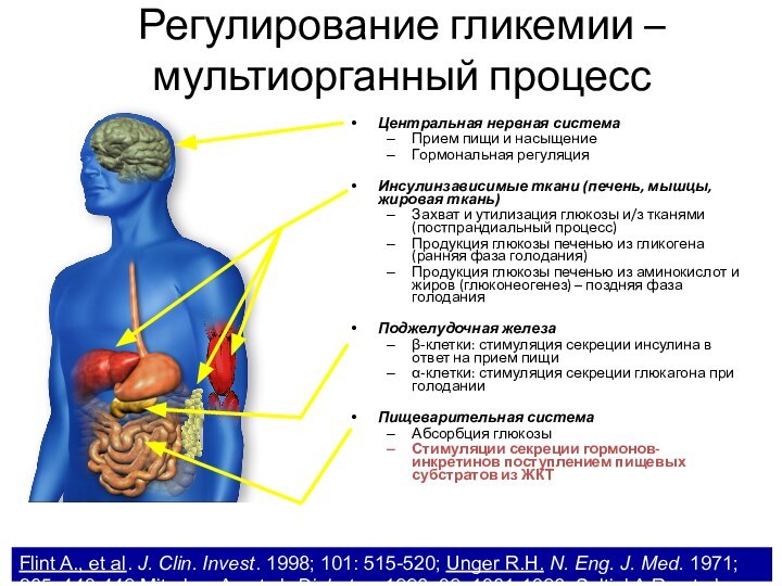 Регулирование гликемии – мультиорганный процессЦентральная нервная системаПрием пищи и насыщениеГормональная регуляция