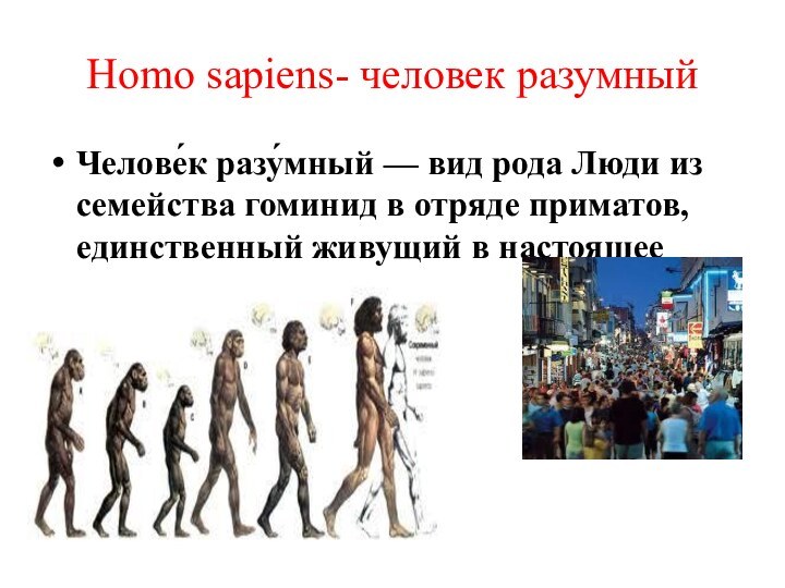 Челове́к разу́мный — вид рода Люди из семейства гоминид в отряде приматов,
