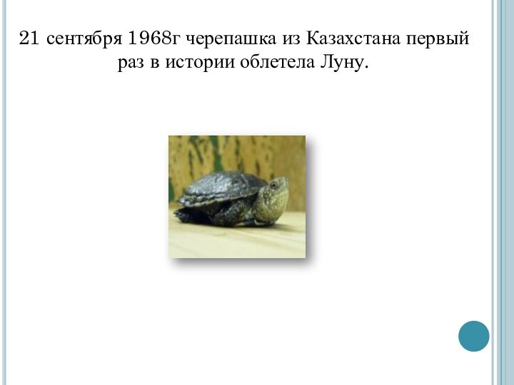 21 сентября 1968г черепашка из Казахстана первый раз в истории облетела Луну.