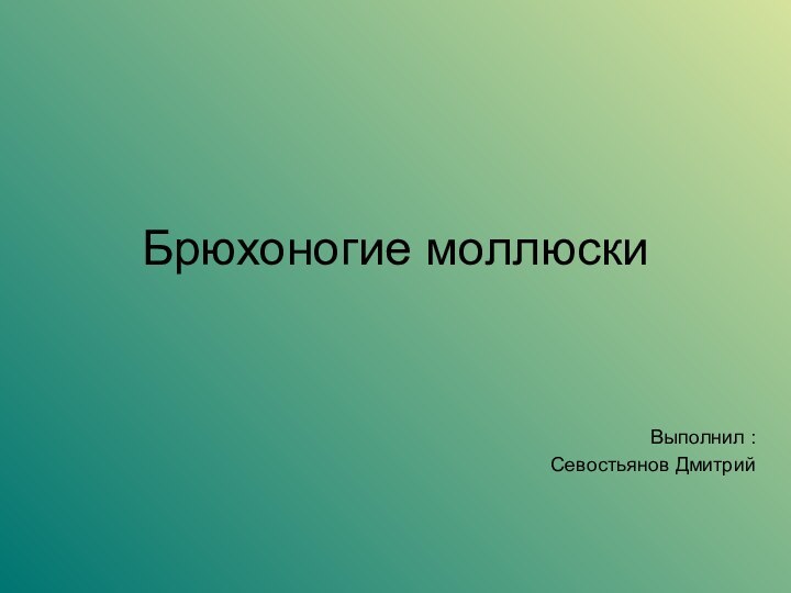 Брюхоногие моллюскиВыполнил : Севостьянов Дмитрий