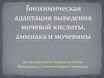 Биохимическая адаптация выведения мочевой кислоты, аммиака и мочевины