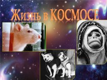 Жизнь в космосе