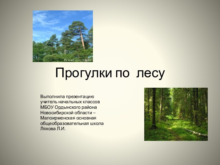 Прогулки по лесу   Выполнила презентацию   учитель начальных классов