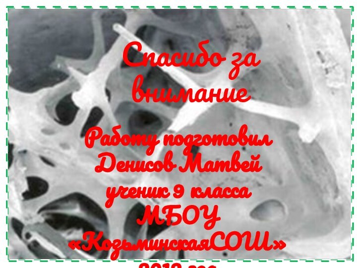 Работу подготовил Денисов Матвей ученик 9 классаМБОУ «КозьминскаяСОШ»2012 годСпасибо за внимание