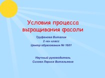 Условия процесса выращивания фасоли