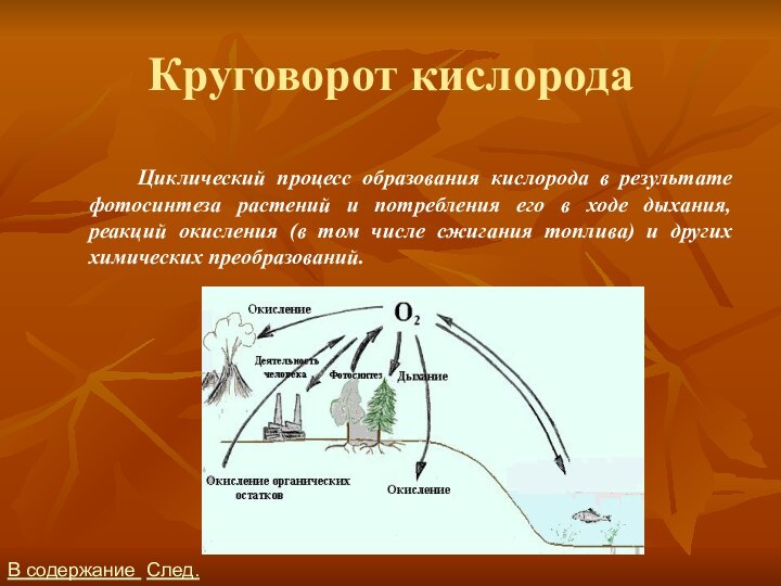 Круговорот кислородаВ содержание След.		Циклический процесс образования кислорода в результате фотосинтеза растений и