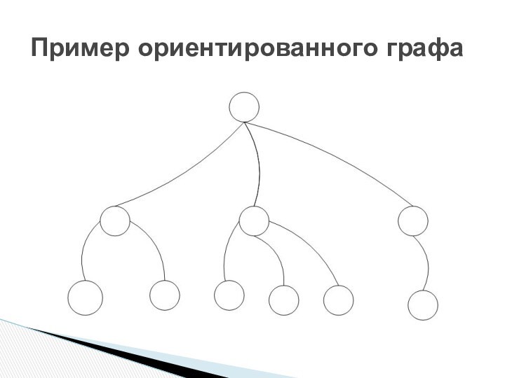 Пример ориентированного графа
