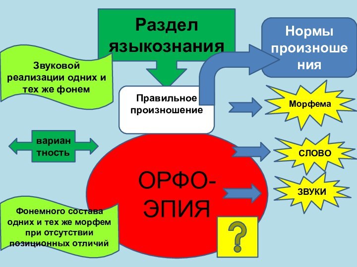 ОРФО-ЭПИЯРаздел языкознанияМорфемаСЛОВОЗВУКИЗвуковой реализации одних и тех же фонем Фонемного состава одних и