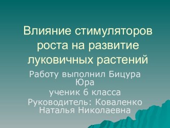 Влияние стимуляторов роста на развитие луковичных растений