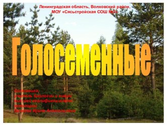 Голосеменные