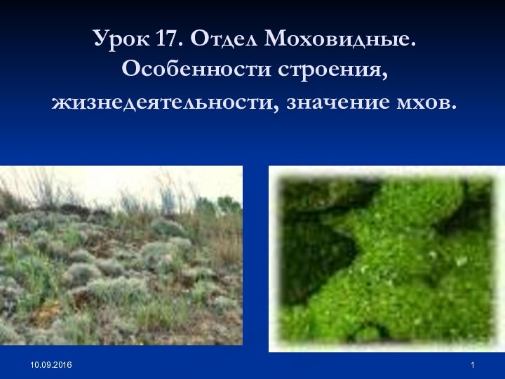 Урок 17. Отдел Моховидные. Особенности строения, жизнедеятельности, значение мхов.