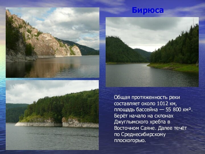 БирюсаОбщая протяженность реки составляет около 1012 км, площадь бассейна — 55 800 км². Берёт начало
