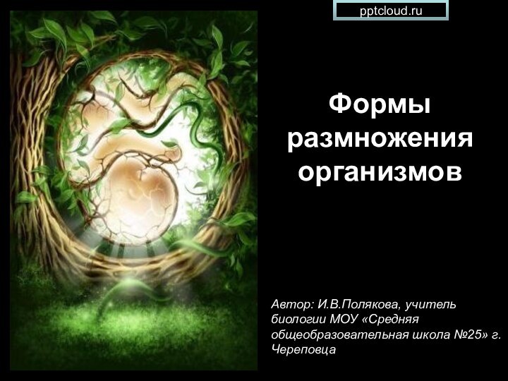 Формы размножения организмовАвтор: И.В.Полякова, учитель биологии МОУ «Средняя общеобразовательная школа №25» г.Череповца