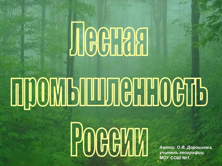 Лесная промышленность РоссииАвтор: О.В. Дорошкова, учитель географии, МОУ СОШ №1.