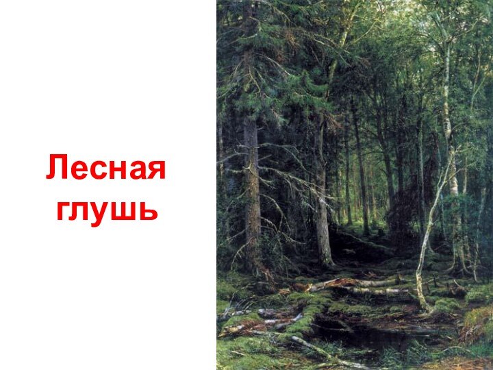 Лесная глушь