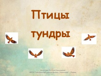 Птицы тундры