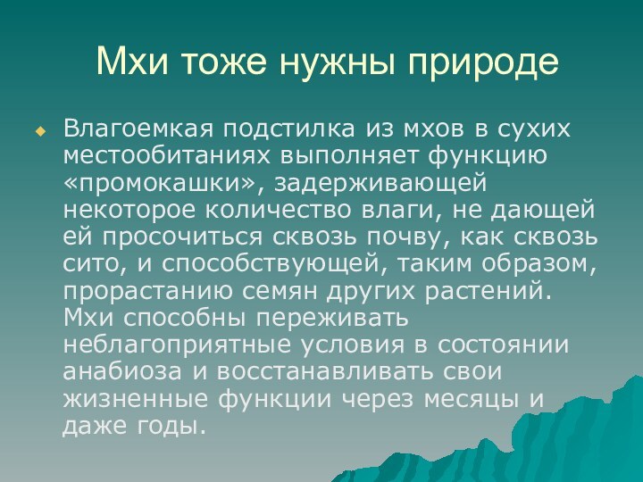 Мхи тоже нужны природеВлагоемкая подстилка из мхов в сухих местообитаниях выполняет функцию